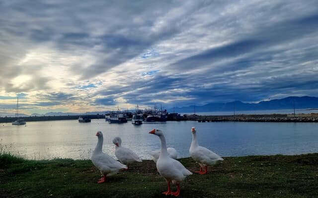 668827099_122233962338283540_7619907291825849604_n_1775716101