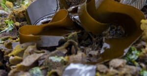 SASSI Sustainable Seafood in Gansbaai