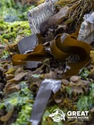 SASSI Sustainable Seafood in Gansbaai