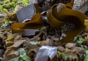 SASSI Sustainable Seafood in Gansbaai