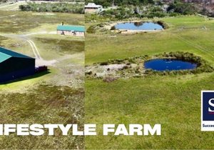 21.90Ha Farm For Sale in Franskraal: R15,000,000