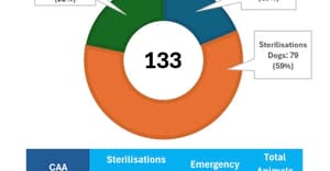 Fostering Change, One Animal at a Time