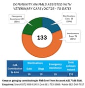 Fostering Change, One Animal at a Time