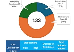 Fostering Change, One Animal at a Time