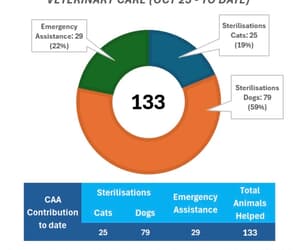 Fostering Change, One Animal at a Time