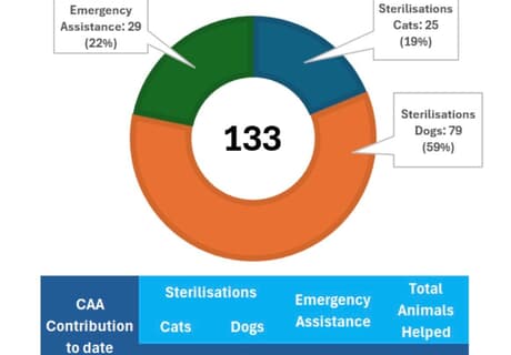 Fostering Change, One Animal at a Time