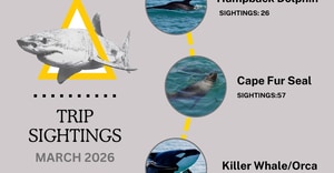 Great Sightings This March!