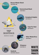 Great Sightings This March!