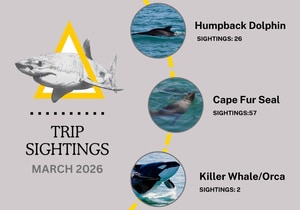 Great Sightings This March!