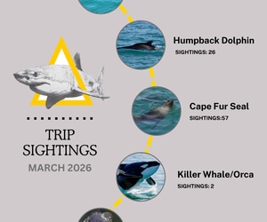 Great Sightings This March!