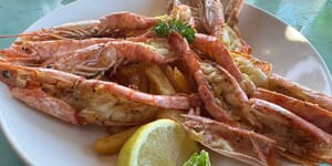 WhatsApp_Image_2026_04_17_at_12.55.29_1_1776666525