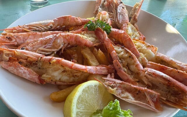 WhatsApp_Image_2026_04_17_at_12.55.29_1_1776666525