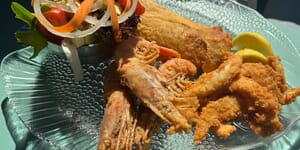 WhatsApp_Image_2026_04_17_at_12.55.29_2_1776666526