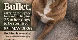 Sterithon 5 May 2026