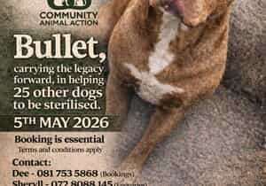 Sterithon 5 May 2026