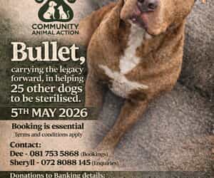 Sterithon 5 May 2026