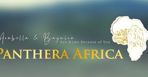 Panthera Africa Recovery Update: Rebuilding After the Wildfire