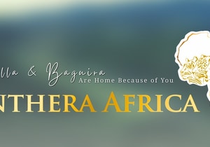 Panthera Africa Recovery Update: Rebuilding After the Wildfire