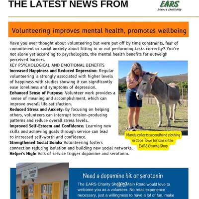 Volunteer at EARS Donkey Sanctuary | Boost Mental Health