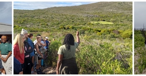 Grootbos Foundation Conservation Volunteer Experience