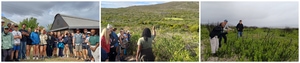 Grootbos Foundation Conservation Volunteer Experience