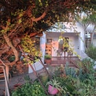 Garden at Sunset - Saxon Lodge - Xplorio™ Gansbaai