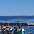 Gansbaai Harbour - Saxon Lodge - Xplorio™ Gansbaai