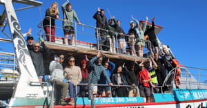 Daily Blog: 23 April 2026 | Shark Cage Diving in South Africa