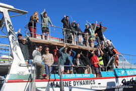 Daily Blog: 23 April 2026 | Shark Cage Diving in South Africa