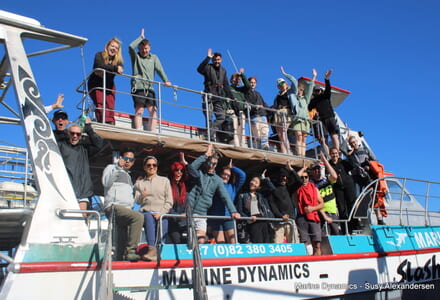 Daily Blog: 23 April 2026 | Shark Cage Diving in South Africa