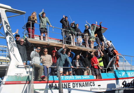 Daily Blog: 23 April 2026 | Shark Cage Diving in South Africa