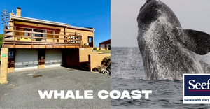 R3,930,000: 4 Bedroom House For Sale in Perlemoenbaai