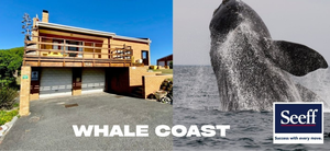 R3,930,000: 4 Bedroom House For Sale in Perlemoenbaai