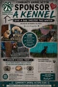 GIVE A DOG SHELTER THIS WINTER