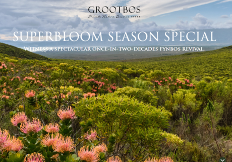 SUPERBLOOM SEASON SPECIAL