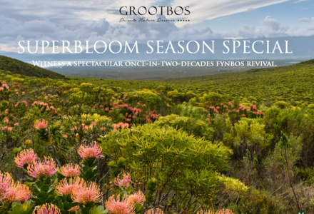 SUPERBLOOM SEASON SPECIAL