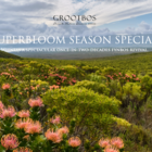 Grootbos_Special_1778655280 Grootbos_Special_1778655280