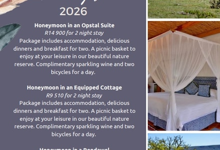 Honeymoon Packages 2026