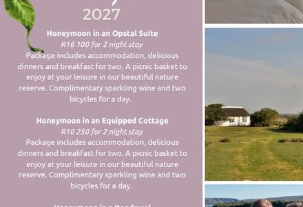 Honeymoon Packages 2027