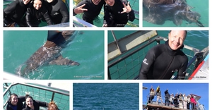 Daily Blog: 09 May 2026 | Shark Cage Diving in South Africa