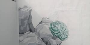 703468112_122240405948283540_2324186015111070152_n_1779261596