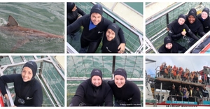 Daily Blog: 18 May 2026 | Shark Cage Diving in South Africa
