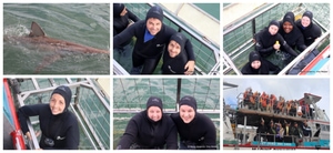 Daily Blog: 18 May 2026 | Shark Cage Diving in South Africa