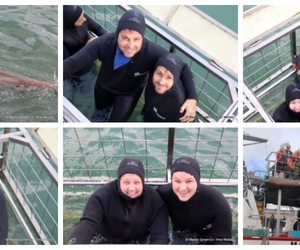 Daily Blog: 18 May 2026 | Shark Cage Diving in South Africa