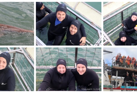 Daily Blog: 18 May 2026 | Shark Cage Diving in South Africa