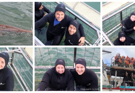 Daily Blog: 18 May 2026 | Shark Cage Diving in South Africa
