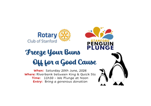 Stanford Penguin Plunge 2026