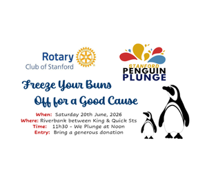 Stanford Penguin Plunge 2026