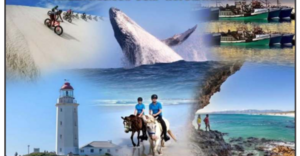 Gans-Berg News - 22 May 2026