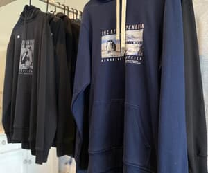 Curio Shop Supporting Penguin Rescue and Seabird Rehabilitation